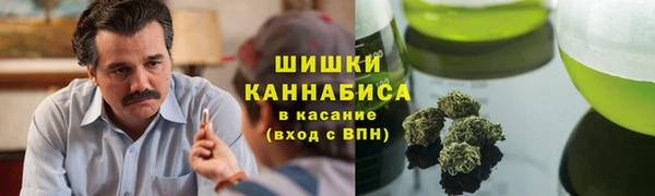 прущие крисы Верея
